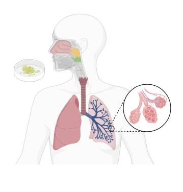 Database Image 1